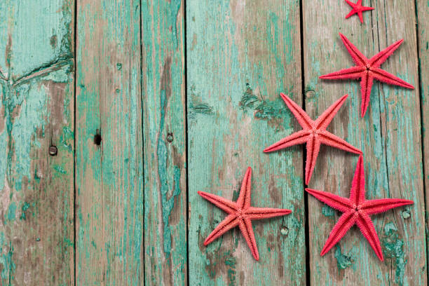 istock Shell and starfish frame with space on wooden old background. 925220104