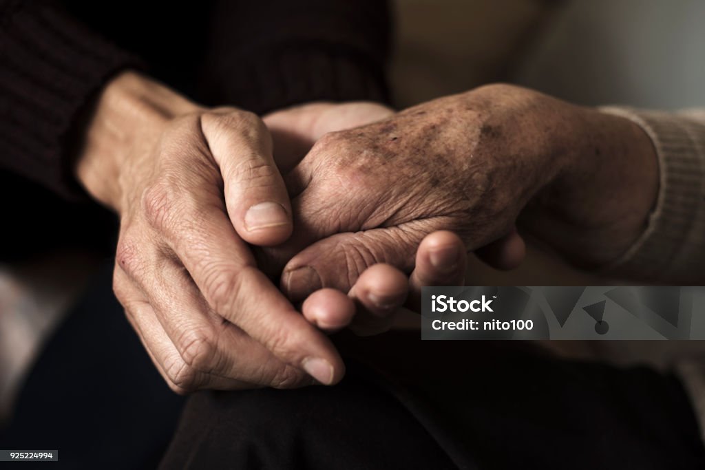 young man holding the hand of an old woman closeup of a young caucasian man holding the hand of an old caucasian woman with affection Hand Stock Photo