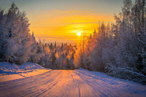 istock Winter sunset view from Sotkamo, Finland. 925225770