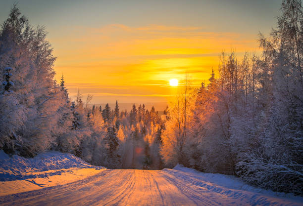 istock Winter sunset view from Sotkamo, Finland. 925225782