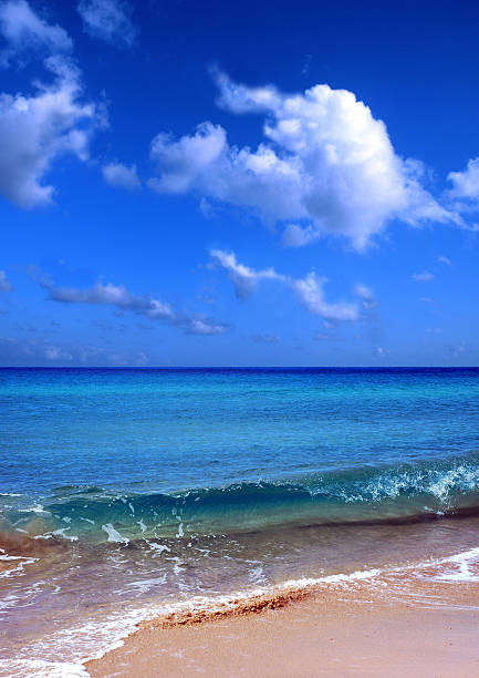 wave in the beach stock photo