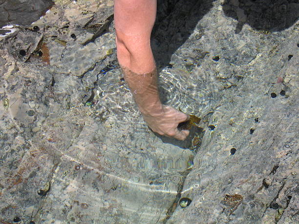 istock Hand reaches into a rock pool 92522661
