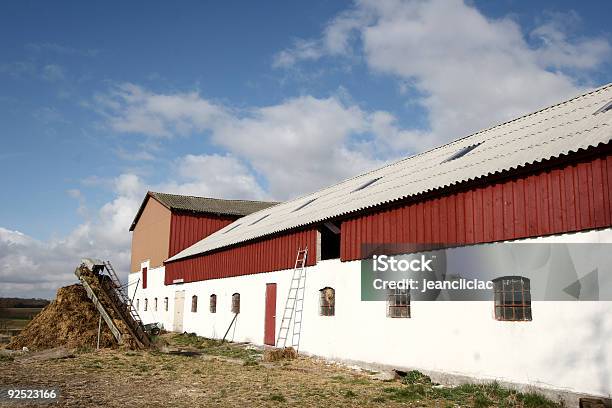 Farm Detalle Foto de stock y más banco de imágenes de Dinamarca - Dinamarca, Granja lechera, Aire libre