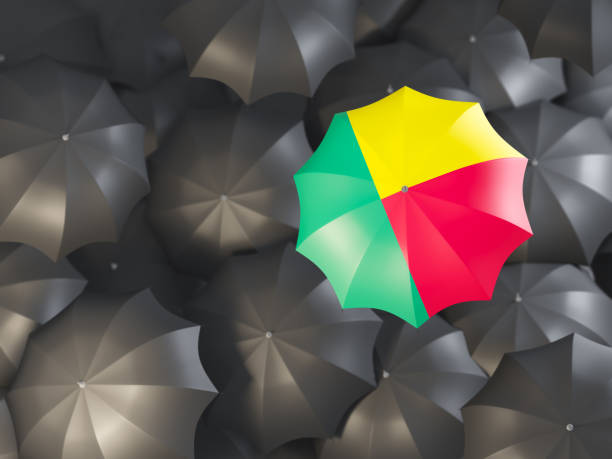 istock Umbrella with flag of benin 925231730