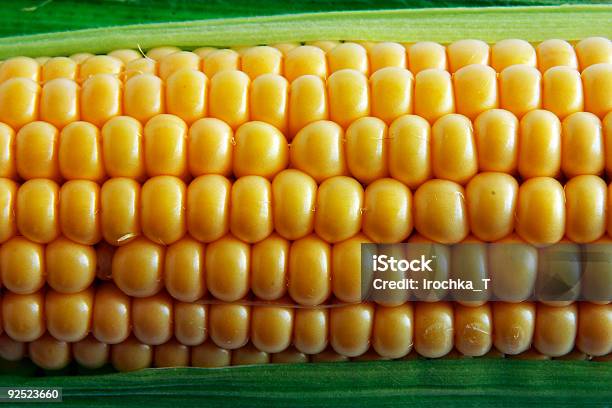 Corn Auf Geschäftsschluss Stockfoto und mehr Bilder von Extreme Nahaufnahme - Extreme Nahaufnahme, Farbbild, Formatfüllend