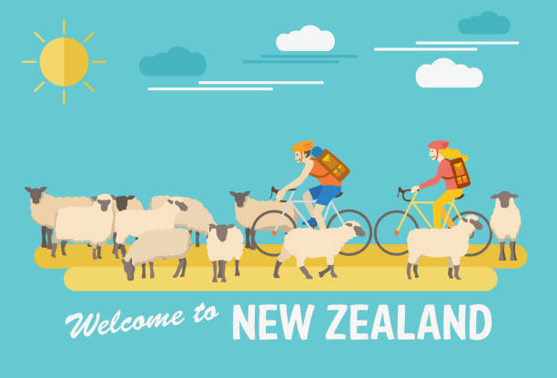 ilustraciones, imágenes clip art, dibujos animados e iconos de stock de diseño plano, ilustración de turistas montar bicicletas y rebaño de ovejas, vector - flock of sheep