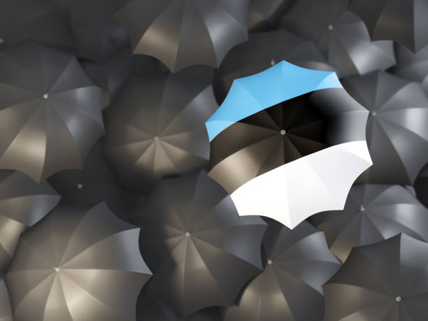 istock Umbrella with flag of estonia 925239724
