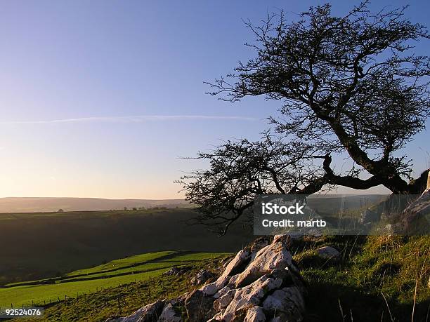 Ideale Landschaft Stockfoto und mehr Bilder von Agrarbetrieb - Agrarbetrieb, Anhöhe, Baum