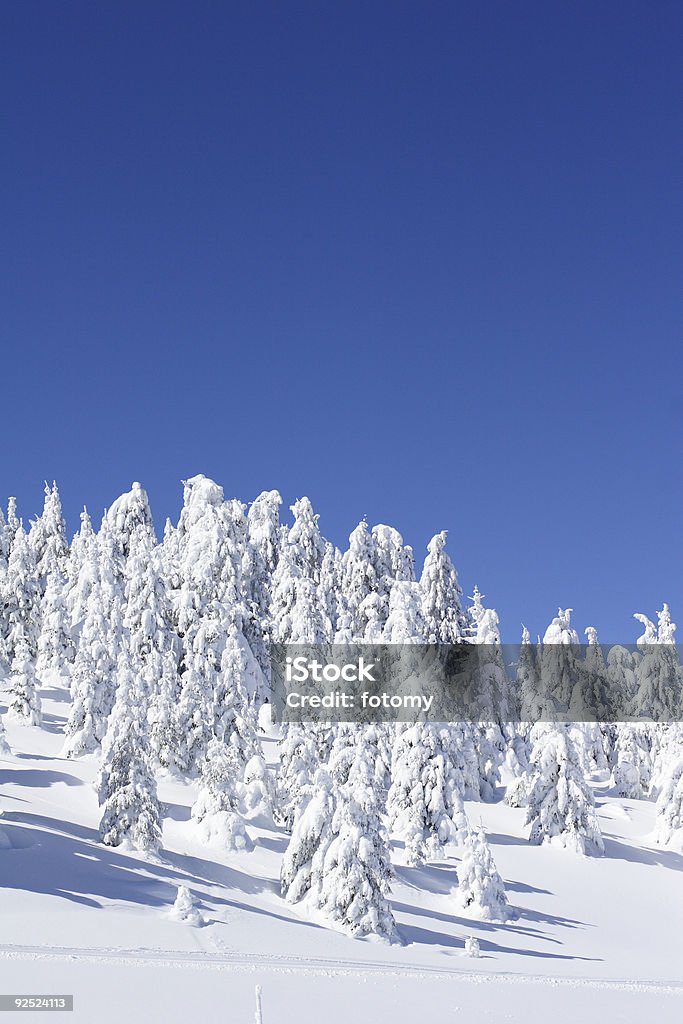 冬の山の風景 - カラー画像のロイヤリティフリーストックフォト