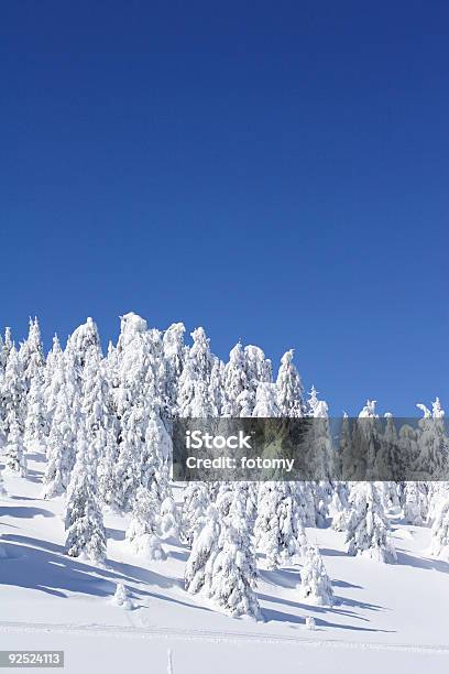 冬の山の風景 - カラー画像のストックフォトや画像を多数ご用意 - カラー画像, ゲレンデ, コパオニク