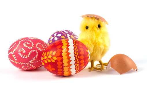 yellow fluffy easter chick sitting behind colorful easter eggs