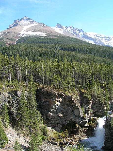 istock Lush forest and mountains with gorgeous white waterfall 92524496