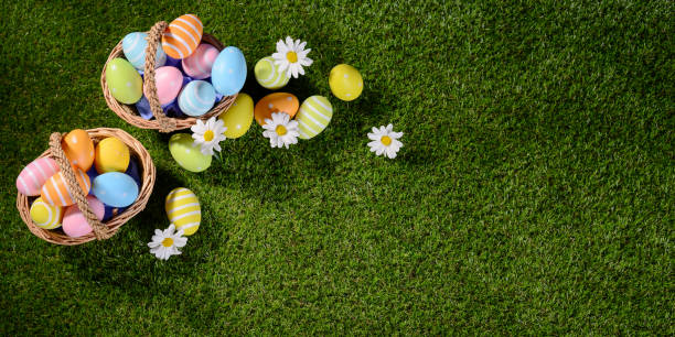 istock above top view of multi colored painted easter eggs on the green grass with springtime daisy flowers 925247668
