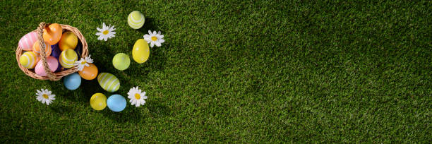 istock above top view of multi colored painted easter eggs on the green grass with springtime daisy flowers 925247670