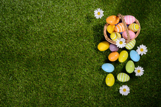 istock above top view of multi colored painted easter eggs on the green grass with springtime daisy flowers 925247682
