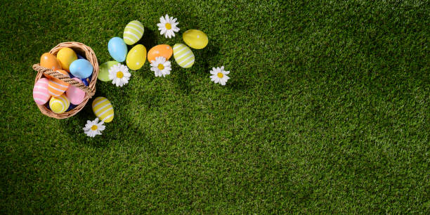 oben draufsicht des mehrfarbig bemalt ostereier auf dem grünen rasen mit frühling blumen-gänseblümchen - easter egg easter grass spring stock-fotos und bilder