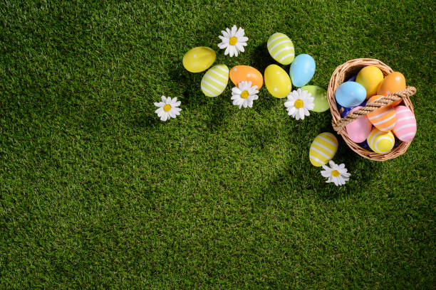 istock above top view of multi colored painted easter eggs on the green grass with springtime daisy flowers 925247692