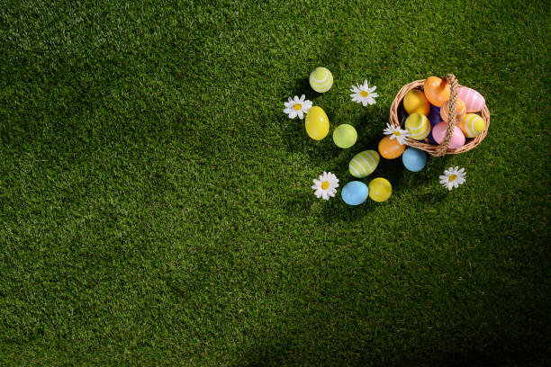 istock above top view of multi colored painted easter eggs on the green grass with springtime daisy flowers 925247694