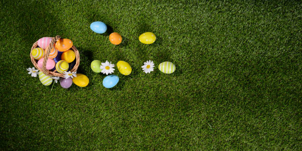 istock above top view of multi colored painted easter eggs on the green grass with springtime daisy flowers 925247706