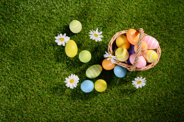 istock above top view of multi colored painted easter eggs on the green grass with springtime daisy flowers 925247728