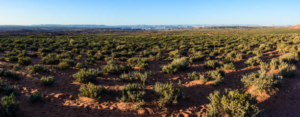 Desert around Grand Canyon Horseshoe Bend
