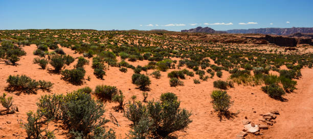 istock Desert near Grand Canyon Horseshoe Bend 925247952