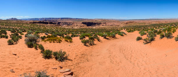 istock Desert near Grand Canyon Horseshoe Bend 925247962