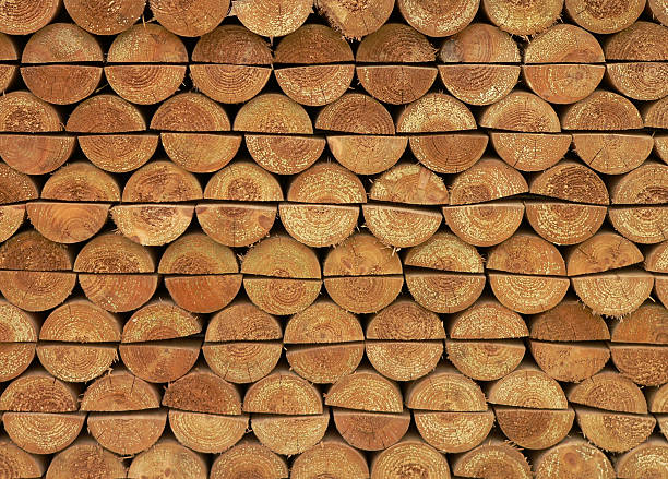 Pile of woodlogs. stock photo