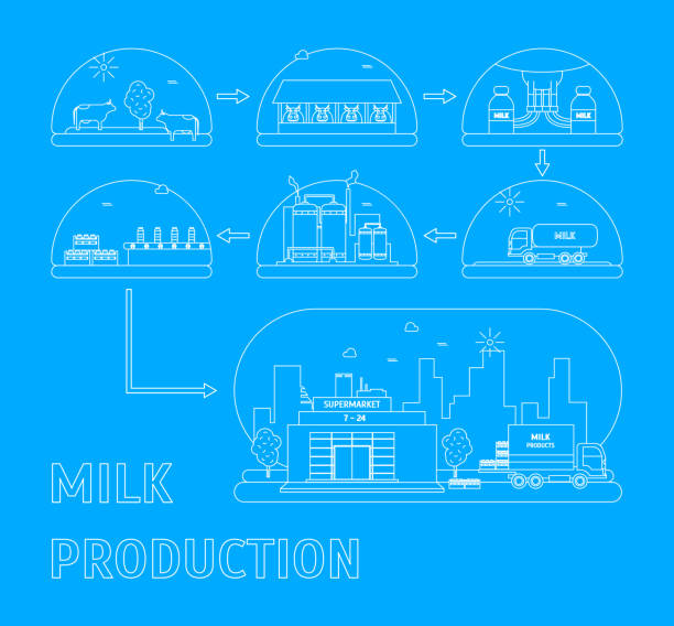 우유 생산 과정입니다. 벡터 - 식품 가공 공장 일러스트 stock illustrations