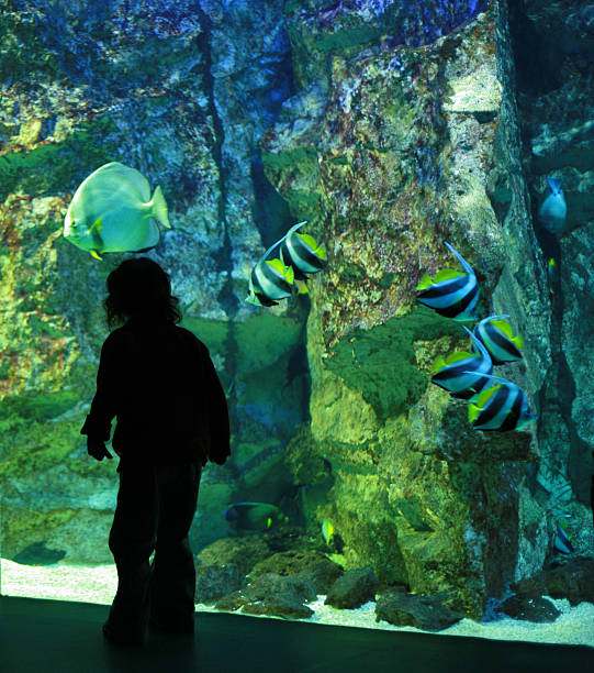 istock Girl in the aquarium 92525367