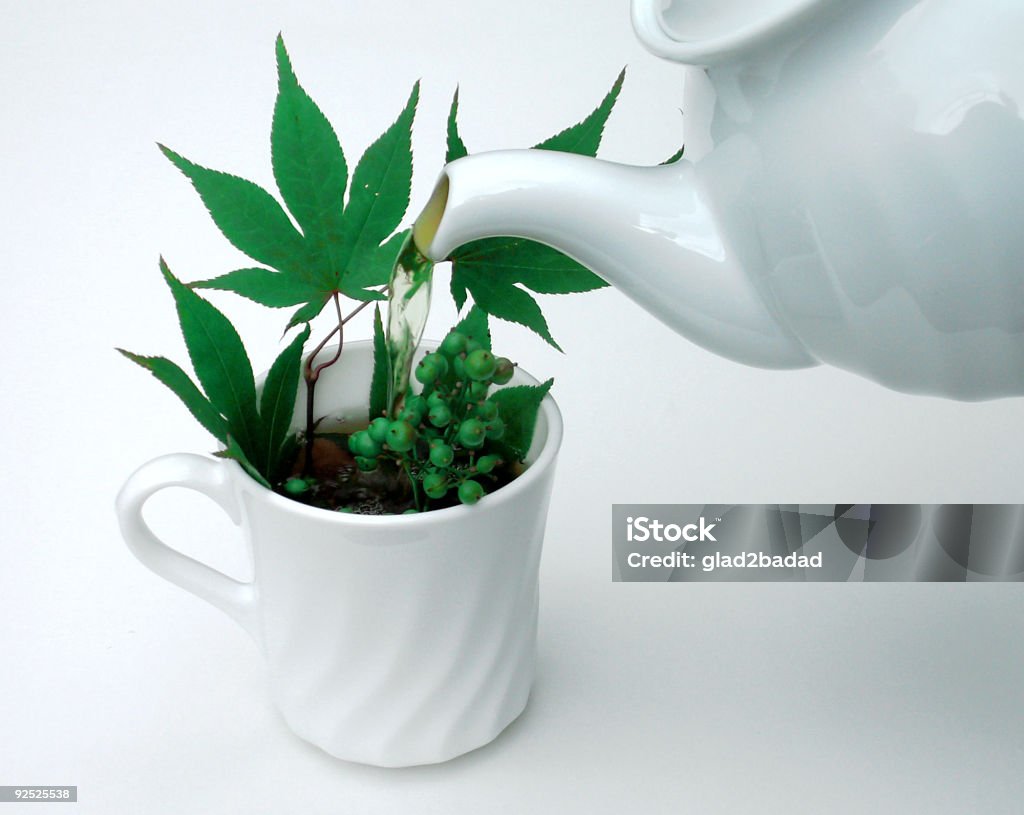 Green Tea  Color Image Stock Photo