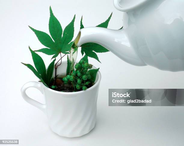 Green Tea Stock Photo - Download Image Now - Color Image, Cup, Drink