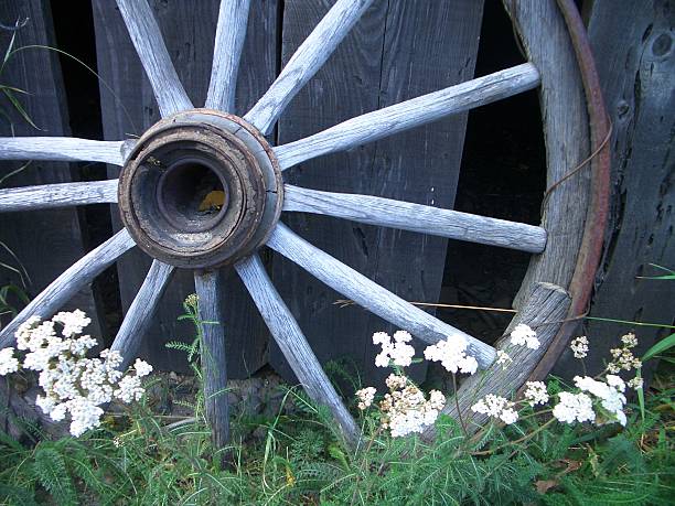 Wagonwheel - fotografia de stock