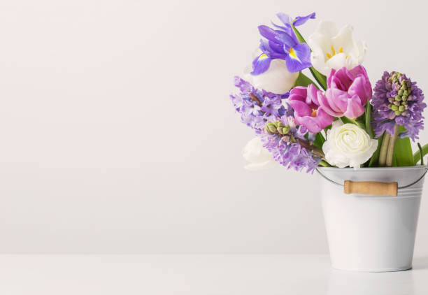 istock spring flowers in bucket on white  background 925258960