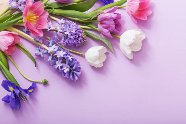 istock beautiful flowers on paper background 925258990