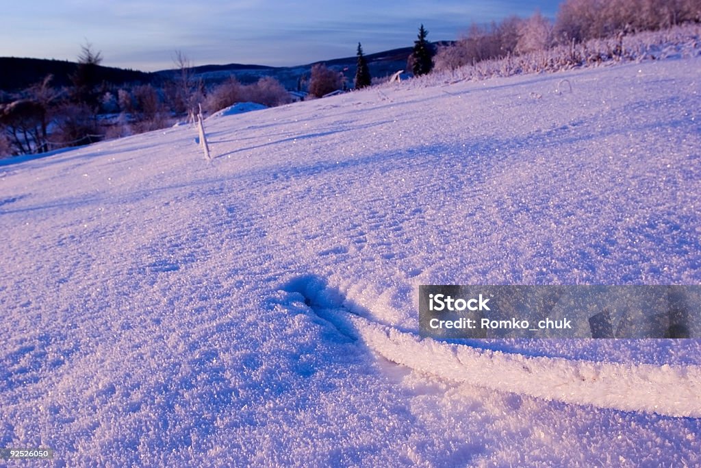 CONGELA: Nieve buceo cable 02 - Foto de stock de Abeto Picea libre de derechos