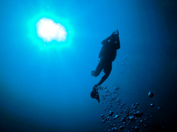 istock silhouette diver ,koh tao thailand 925261092