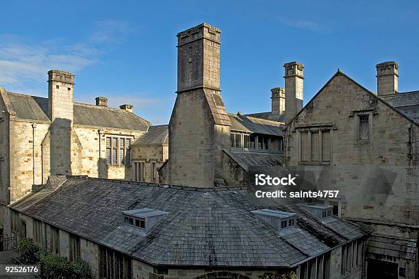 Rooftops And Chimneys Stock Photo - Download Image Now - Architecture, Blue, Chimney