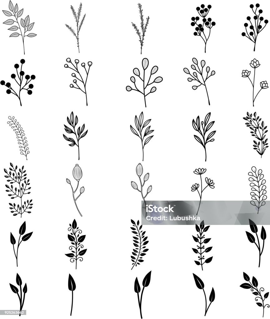 Bloom nice collection Bloom collection. Set of hand-drawn flowers, branches and leaves. Nice to combine among themselves and to create your own unique design. Flower stock vector