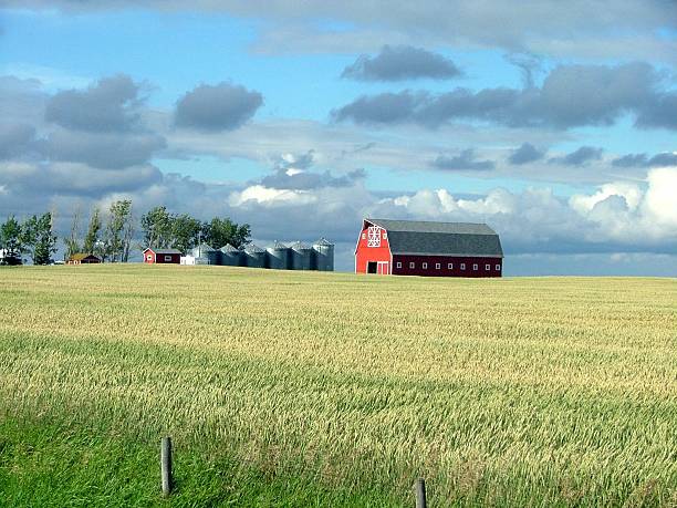 istock Grain Crop and Red Barn in Autumn 92526613
