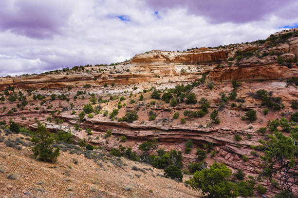 istock Layers of rocks and trees 925269200