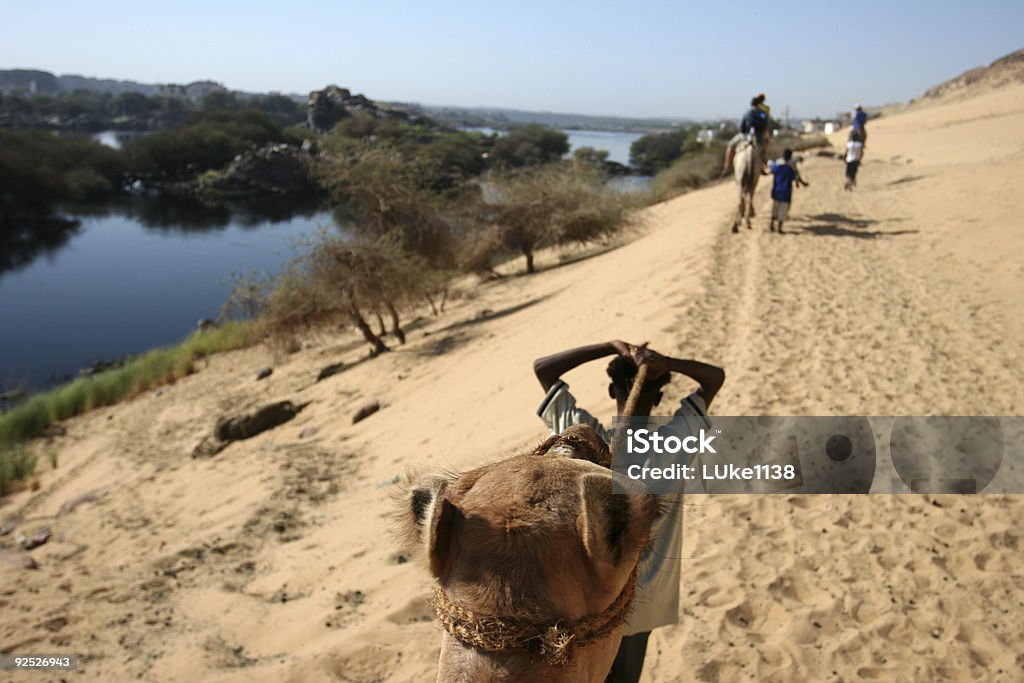 Promenade en chameau - Photo de Afrique libre de droits