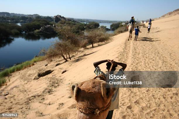 Photo libre de droit de Promenade En Chameau banque d'images et plus d'images libres de droit de Afrique - Afrique, Aride, Asie de l'Ouest