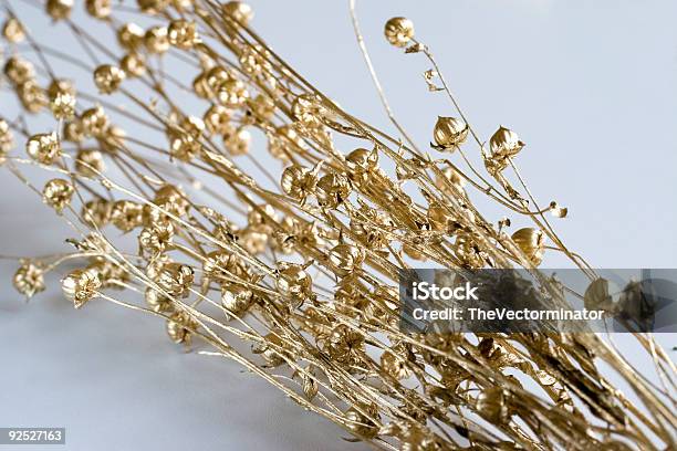 Golden Bouquet Stock Photo - Download Image Now - Aster, Blossom, Bouquet