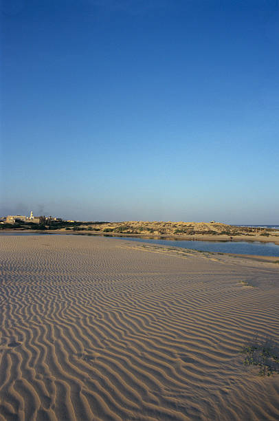 istock where ocean and desert meet 92527390