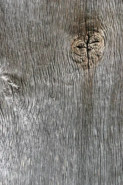 Photo of Wood