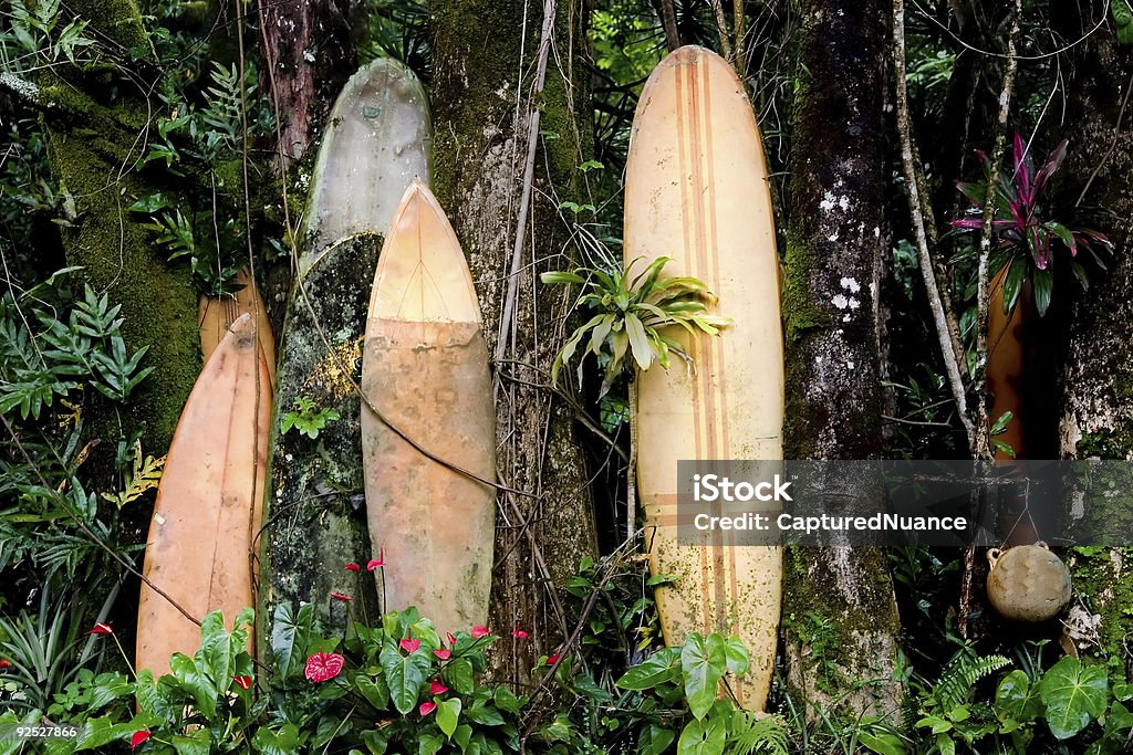 Hana tavole da surf - Foto stock royalty-free di Attrezzatura per sport acquatico