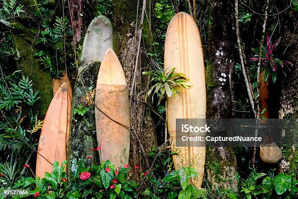 Hana Tavole Da Surf - Fotografie stock e altre immagini di Attrezzatura per sport acquatico - Attrezzatura per sport acquatico, Clima tropicale, Composizione orizzontale