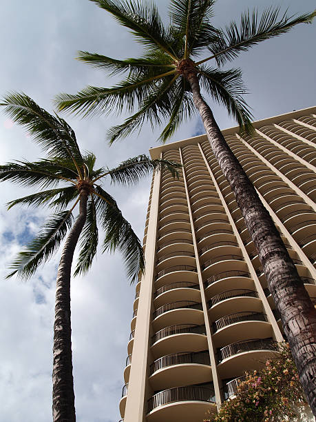 istock waikiki beach front resort hotel 3 92527988