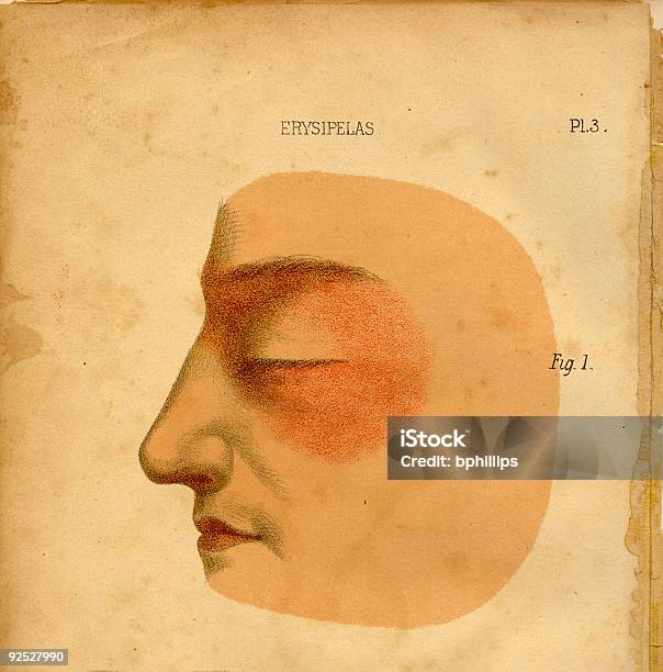 Rys 1 Twarz Ilustracja - Stockowe grafiki wektorowe i więcej obrazów Anatomia człowieka - Anatomia człowieka, Antyczny, Bez ludzi